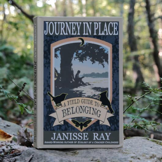 Journey in Place | Audiobook