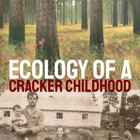 cover image for ECOLOGY OF A CRACKER CHILDHOOD. At top is a painting of a longleaf pine forest by David T. Williams. On the bottom half of the cover is a photo of Janisse Ray's childhood family, including her father, siblings, and herself. Her mother took the photograph.